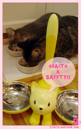 handmade_petfood_5.jpg