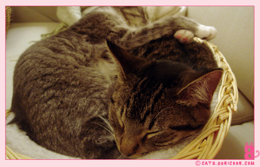 happy_sleep_1.jpg