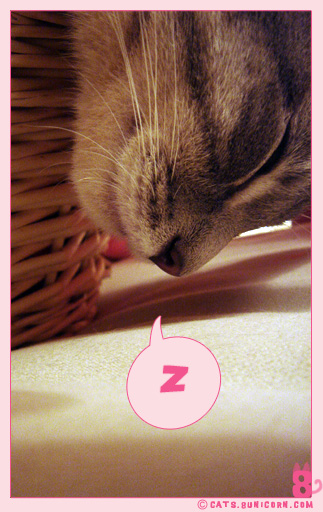 happy_sleep_11.jpg