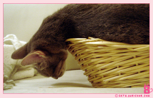 happy_sleep_12.jpg