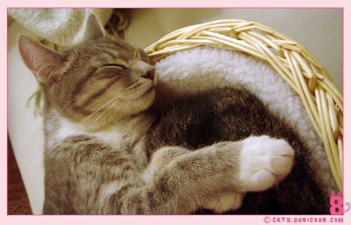 happy_sleep_4.jpg