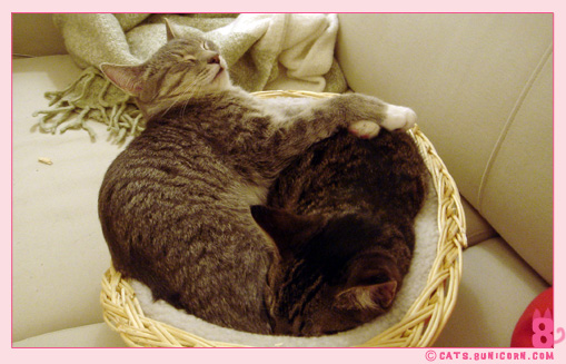 happy_sleep_5.jpg