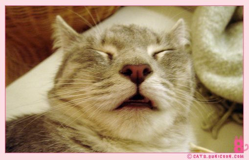 happy_sleep_6.jpg