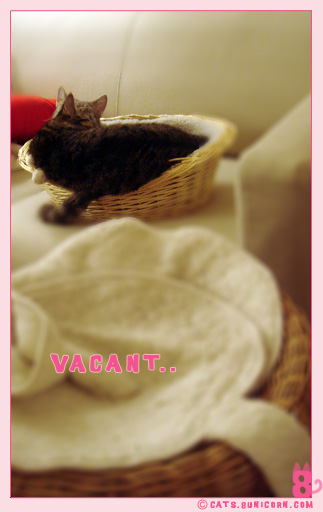 mad_cute_06.jpg