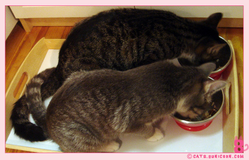 noa_ash_meal_dishes_05.jpg