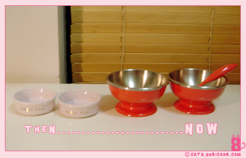 noa_ash_meal_dishes_07.jpg