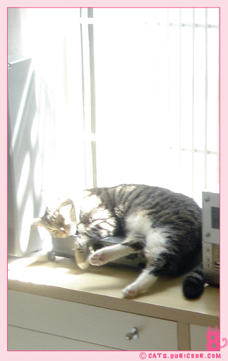 noa_ash_nap.jpg