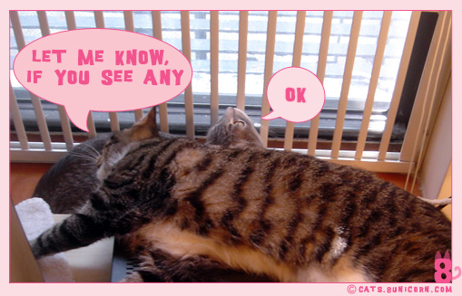 noa_ash_nap_10.jpg