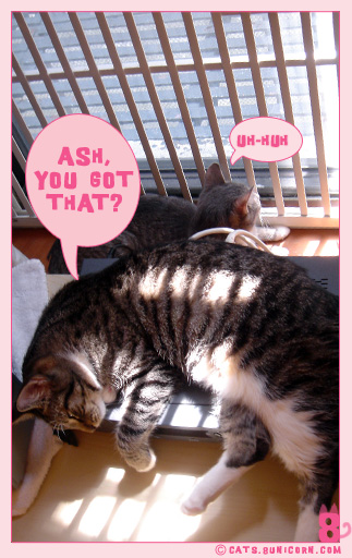 noa_ash_nap_15.jpg