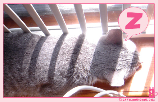 noa_ash_nap_3.jpg