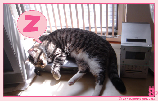 noa_ash_nap_5.jpg