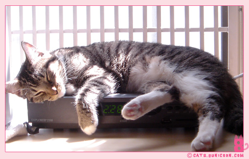 noa_ash_nap_6.jpg