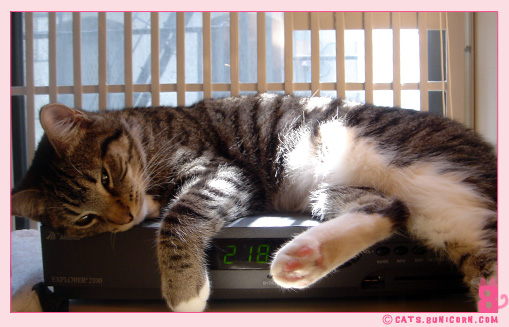 noa_ash_nap_8.jpg