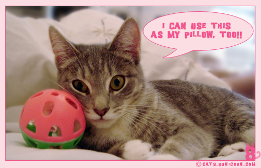 pillow_ash_1.jpg