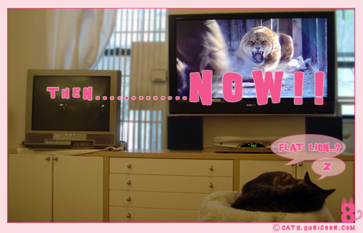then_now.jpg