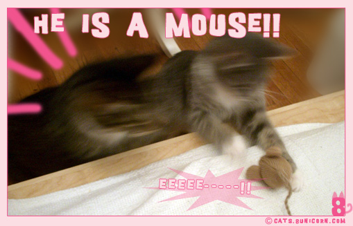 he_is_a_mouse_1.jpg