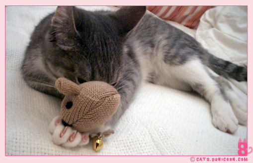 he_is_a_mouse_22.jpg