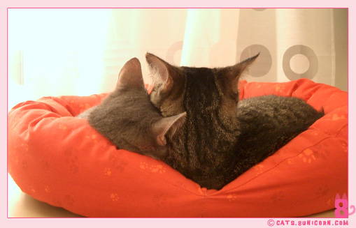 noa_ash_in_love_04.jpg