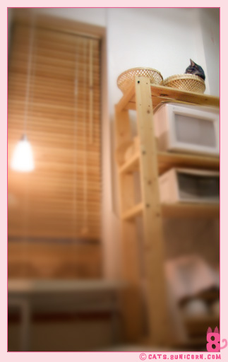 our_fav_basket_01.jpg