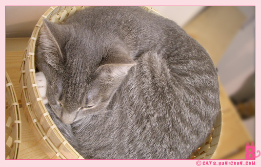 our_fav_basket_02.jpg