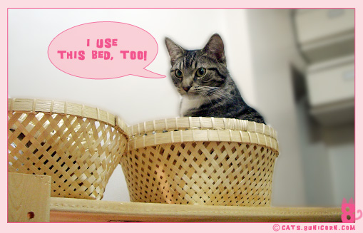 our_fav_basket_07.jpg