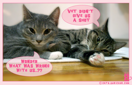 vet_heartwarm_04.jpg