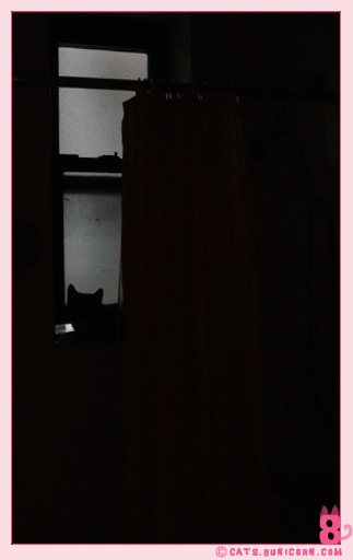 ash_bathroom_01.jpg
