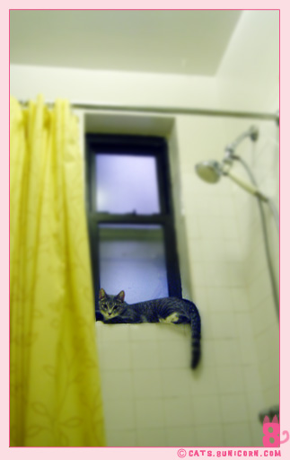 ash_bathroom_02.jpg
