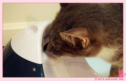 ash_drink_02.jpg