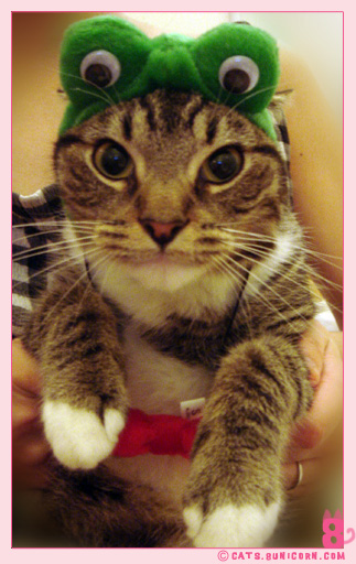 cosplay_noa_04.jpg