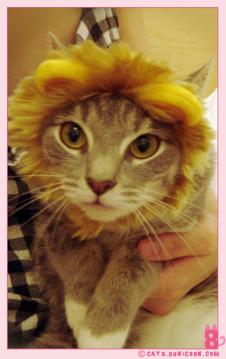 cosplay_noa_05.jpg