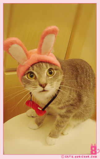 cosplay_noa_06.jpg