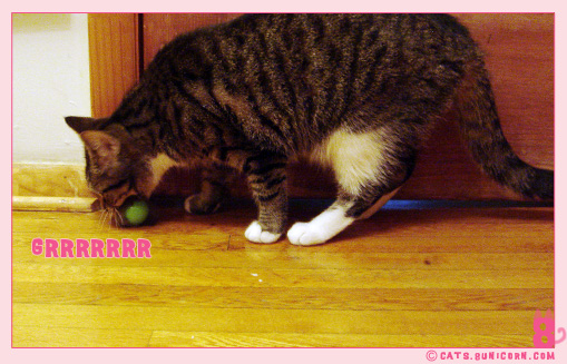 fur-mouse-toy-02.jpg