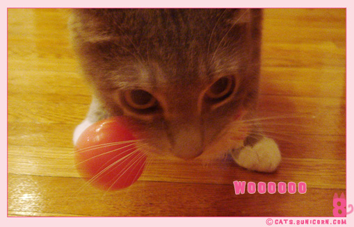 fur-mouse-toy-03.jpg