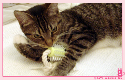 toys_gift_from_gma-2.jpg