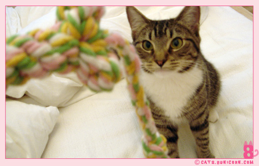 toys_gift_from_gma-3.jpg