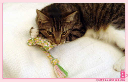 toys_gift_from_gma-4.jpg
