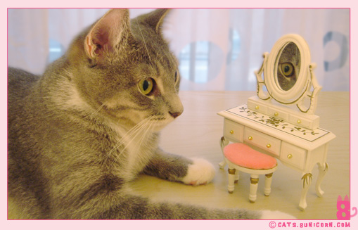doll_house_ash_noa_1.jpg