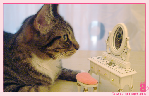 doll_house_ash_noa_2.jpg
