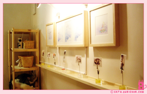 hallway_03.jpg