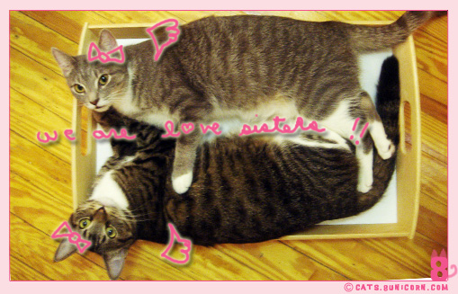 making_out_01.jpg