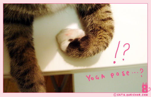noa_funny_hand_02.jpg