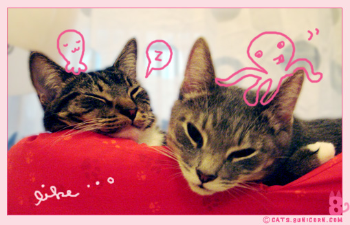 easy_like_sunday_2.jpg