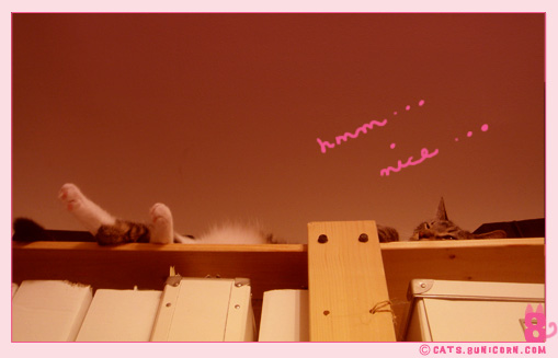 love_music_noa_01.jpg