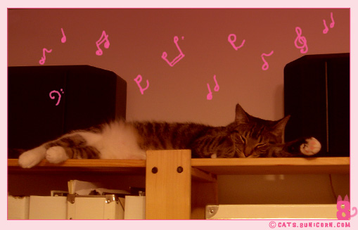 love_music_noa_02.jpg