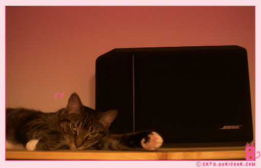 love_music_noa_05.jpg