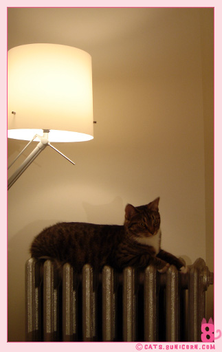 noa_heater_01.jpg