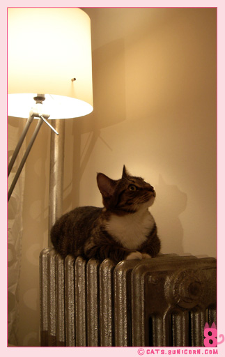 noa_heater_02.jpg