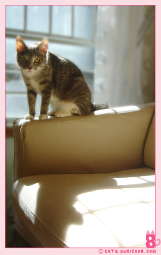 sunny_day_ash_01.jpg