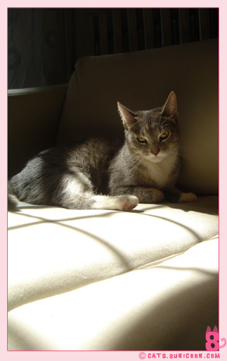 sunny_day_ash_04.jpg
